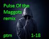Pulse Of The Maggots Rmx