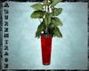 ^AZ^Red Planter-Plant
