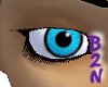 B2N-Turquoise Eyes