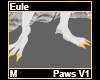 Eule Paws M V1