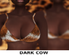 dark Cow