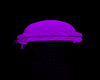 Purple Turban X2