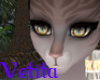 Mitsy | Eyes