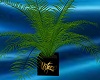 PHV Viper Plant