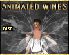 MBC💮Fairy P Wings