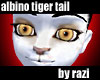 Albino Tiger Tail