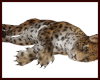 Leopard Pet