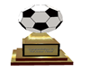 *Soccer Trophy*