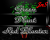Green Plant Red Planter
