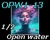 OPW1-13 -*pt1