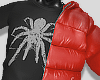 Spiderr