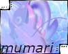 Amatheia Ears 1