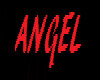 ANGEL BRACELET