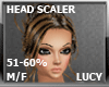 LC HEAD SCALER 51%-60%