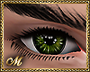 GREEN FOREST EYES M
