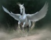 Fantasy Winged Horse