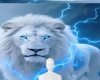 Electric blue lion bg