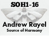 Andrew Rayel Harmony