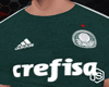 Palmeiras 2018