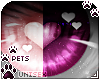 [Pets] Vida | eyes 2-T