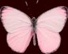 Poof Pink Buterfly