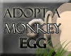 Adopt a Monkey Egg!