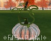Fall Farm Pumpkin 1