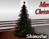 {DJ} XwMB Christmas Tree