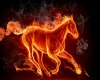 Youtube Fire Horse