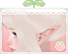 🌱Little Elf