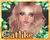 |CAT| Autumn Grociela