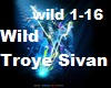 Wild Troye Sivan