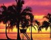 Beautiful Hawaii Sunset