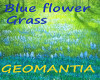 Blue Flowered Grass