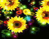 Sunflowers, Stars Bundle