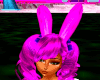 Fusia Easter  Bunny Ears