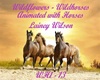 Wildflowers - Wildhorse