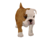 MAX BULLDOG