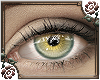 [a] Alchemist Eyes