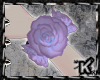 |K| Pastel Roses Arms