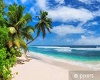PARAISO..REPOSERA