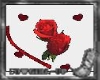 Aminated Heart/roses