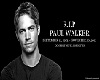 In Memory Of Paul Walker