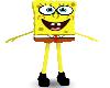 (v) BoB Sponge Body