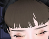 앞_2