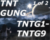 TNT GUNG  (1 of 2)