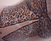 cheetahh