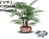 (VR) Office Plant2