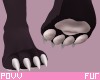 P ♥ Pico M Feet Paws