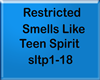 Smells Like Teen Spirit